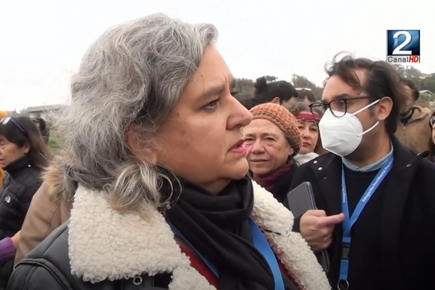 Delegada provincial instó a una mesa de diálogo ante conflicto por proyecto habitacional en Punta de Tralca